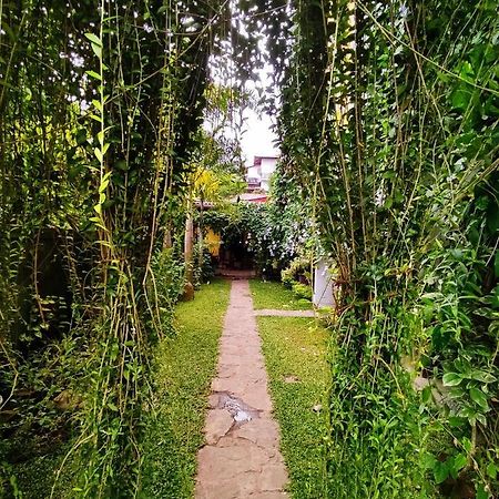 Mandara Rest Bed & Breakfast Hikkaduwa Ngoại thất bức ảnh