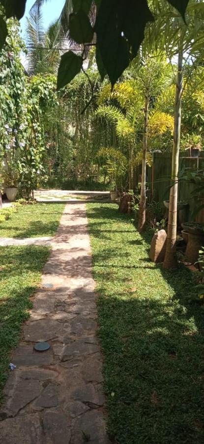 Mandara Rest Bed & Breakfast Hikkaduwa Ngoại thất bức ảnh