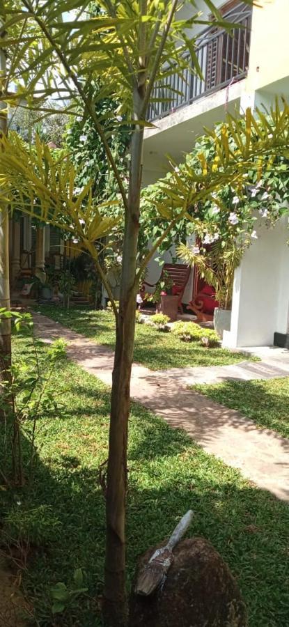Mandara Rest Bed & Breakfast Hikkaduwa Ngoại thất bức ảnh
