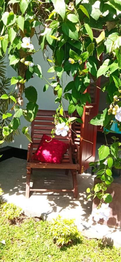 Mandara Rest Bed & Breakfast Hikkaduwa Ngoại thất bức ảnh