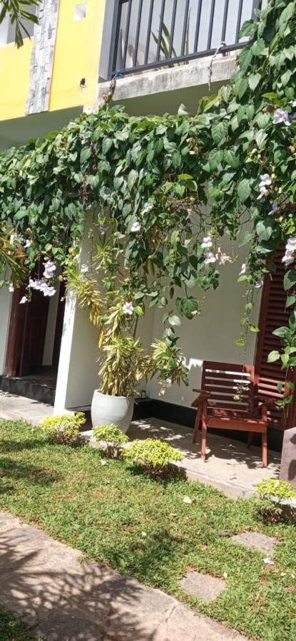 Mandara Rest Bed & Breakfast Hikkaduwa Ngoại thất bức ảnh