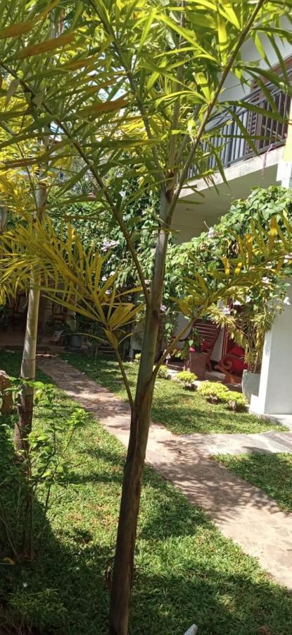 Mandara Rest Bed & Breakfast Hikkaduwa Ngoại thất bức ảnh