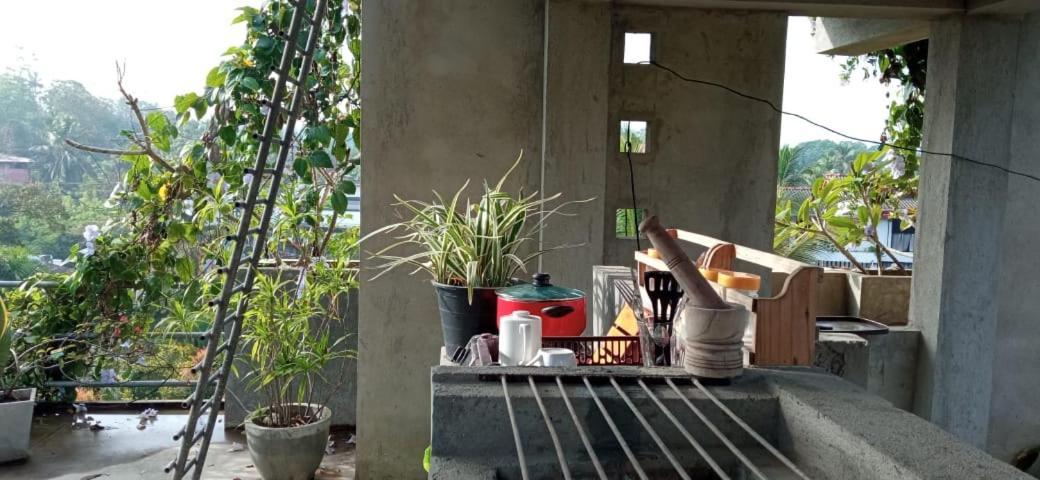 Mandara Rest Bed & Breakfast Hikkaduwa Ngoại thất bức ảnh