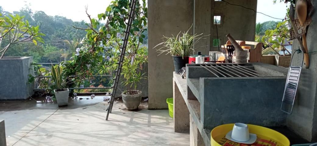 Mandara Rest Bed & Breakfast Hikkaduwa Ngoại thất bức ảnh