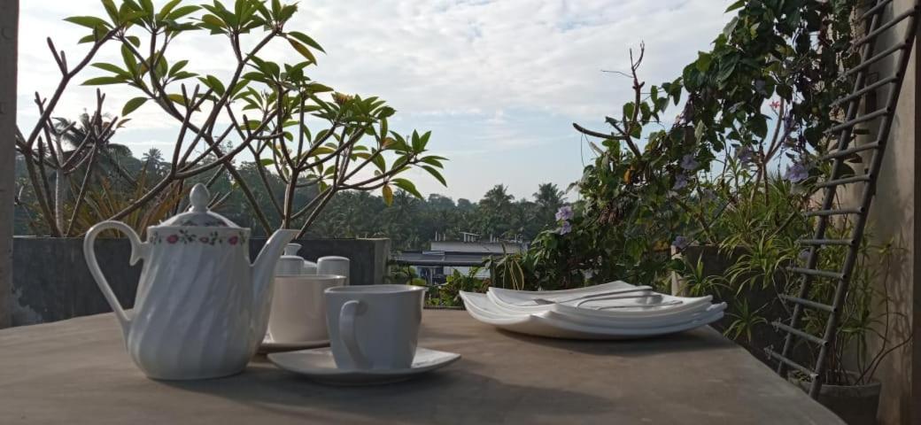 Mandara Rest Bed & Breakfast Hikkaduwa Ngoại thất bức ảnh