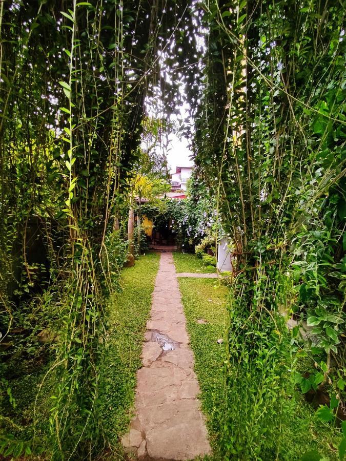 Mandara Rest Bed & Breakfast Hikkaduwa Ngoại thất bức ảnh