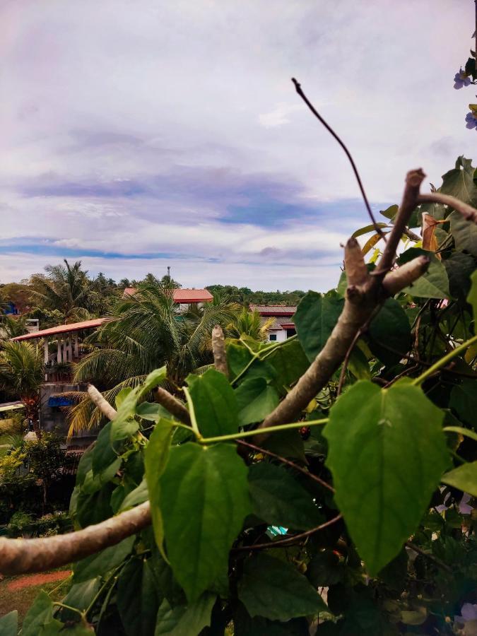 Mandara Rest Bed & Breakfast Hikkaduwa Ngoại thất bức ảnh